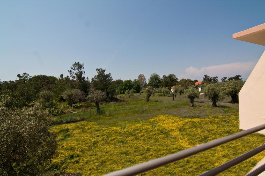 Dimitraki Skala Rachoni (Thasos)