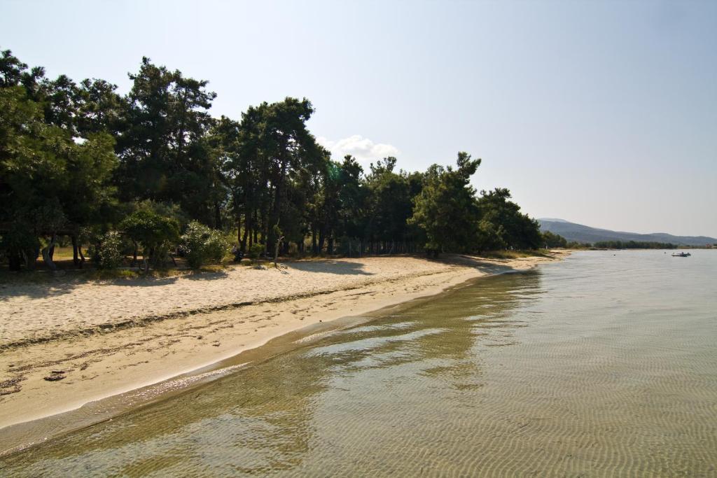 Dimitraki * Skala Rachoni (Thasos)